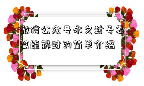 微信公众号永久封号怎笃能解封的简单介绍