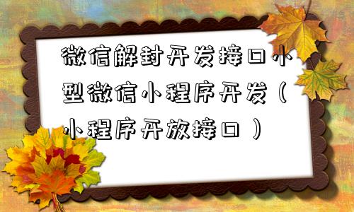 微信解封开发接口小型微信小程序开发（小程序开放接口）