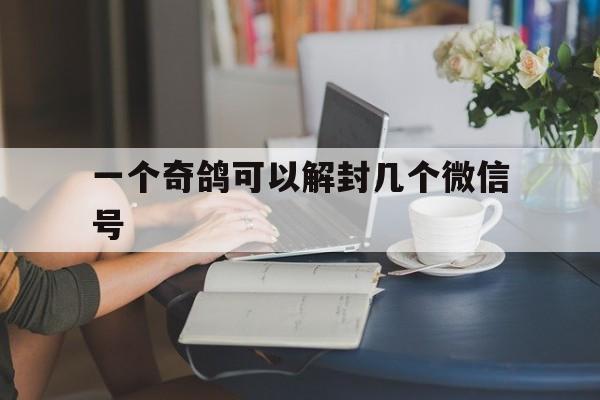 一个奇鸽可以解封几个微信号（一个奇鸽破解版）(图1)