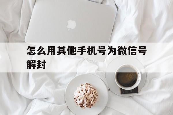 怎么用其他手机号为微信号解封，微信解封需要别人手机号(图1)