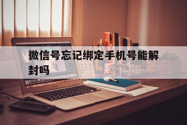 微信号忘记绑定手机号能解封吗，微信号没绑定手机号能解封吗(图1)