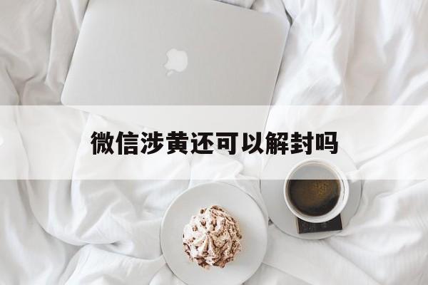 微信涉黄还可以解封吗，涉黄如何解封(图1)