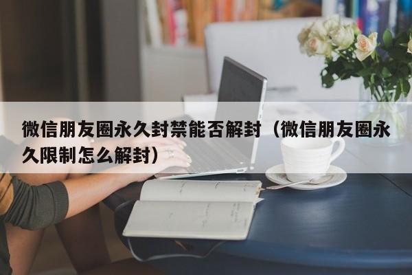 微信朋友圈永久封禁能否解封（微信朋友圈永久限制怎么解封）(图1)