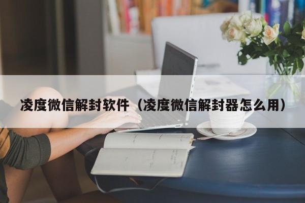 凌度微信解封软件（凌度微信解封器怎么用）(图1)