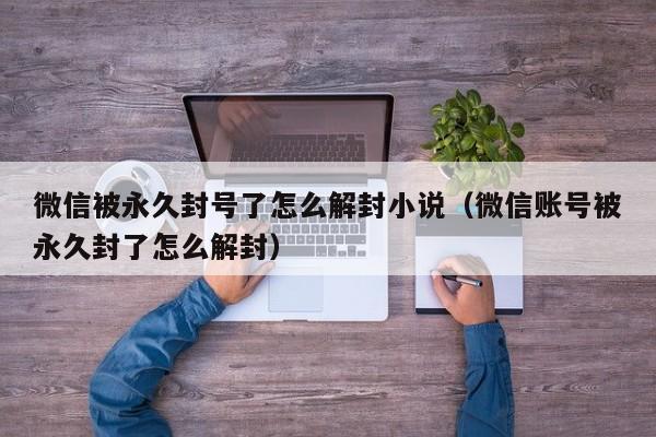 微信被永久封号了怎么解封小说（微信账号被永久封了怎么解封）(图1)