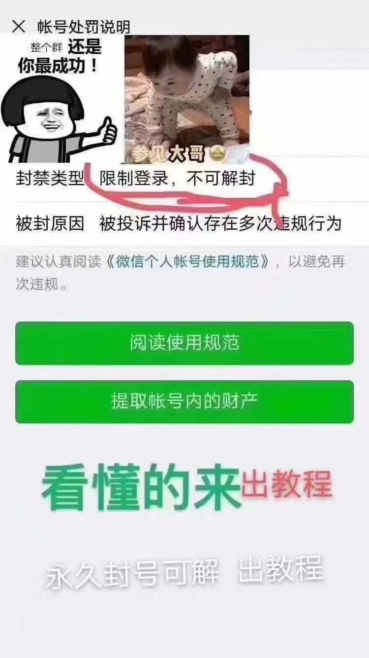 微信被封,自助解封好友辅助验证的解封方法(图3)